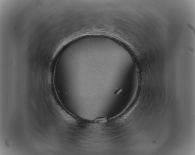 X0000092051506200709121202