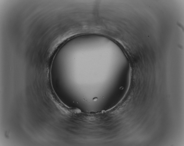 X0000092051507200709121202