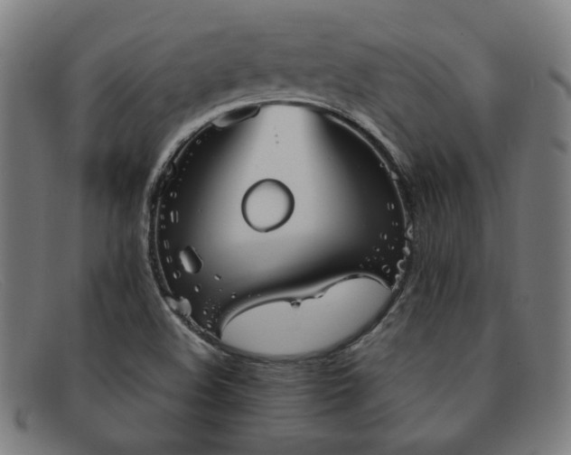 X0000092051508200709121202