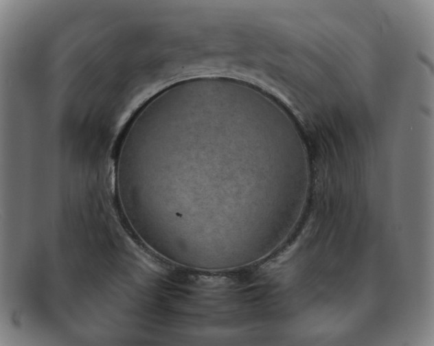 X0000092051509200709121202