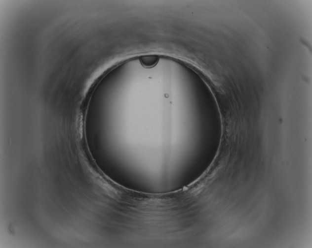 X0000092051510200709121202