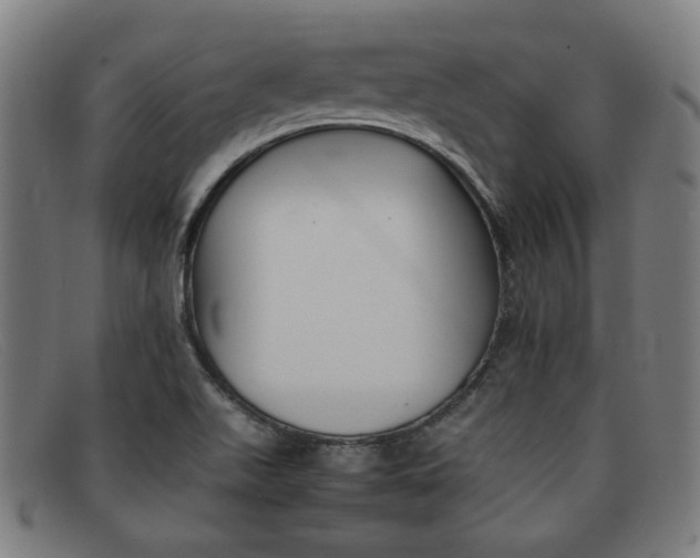 X0000092051511200709121202