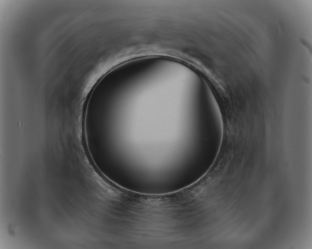 X0000092051512200709121202