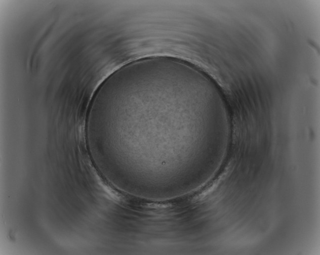 X0000092051513200709121202