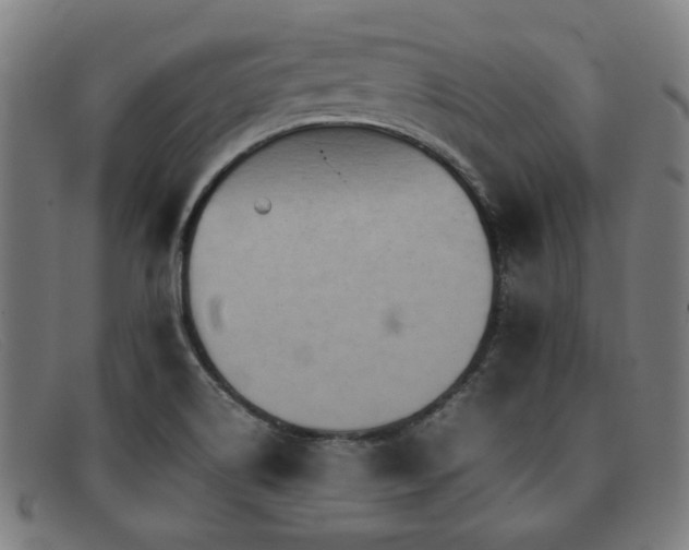 X0000092051514200709121202