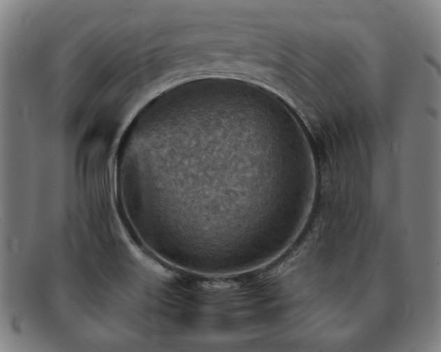 X0000092051515200709121202