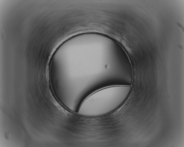 X0000092051516200709121202