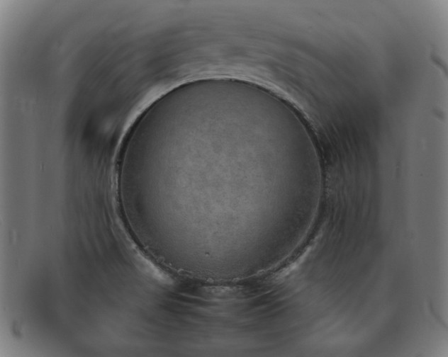 X0000092051517200709121202