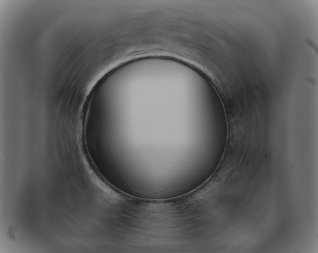 X0000092051518200709121202