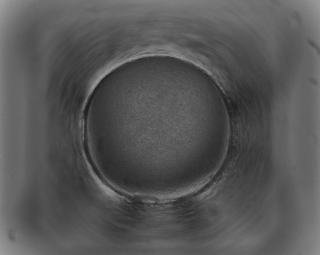 X0000092051519200709121202