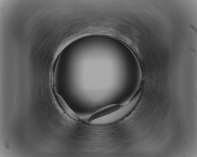 X0000092051520200709121202