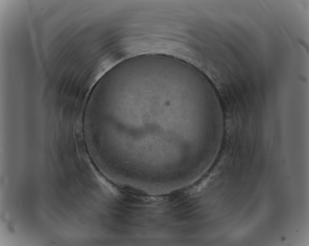 X0000092051521200709121202