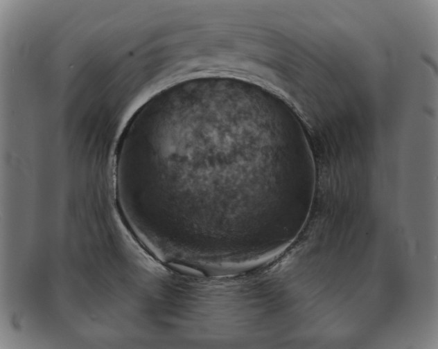 X0000092051522200709121202