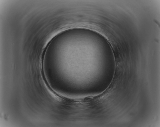 X0000092051523200709121202