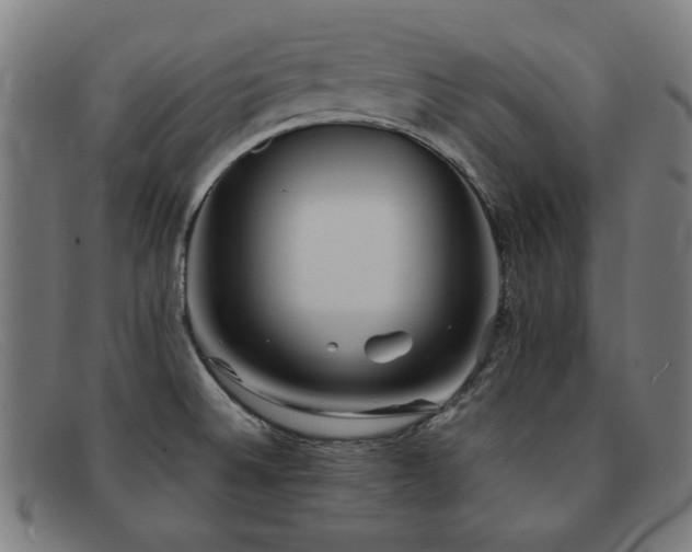 X0000092051524200709121202