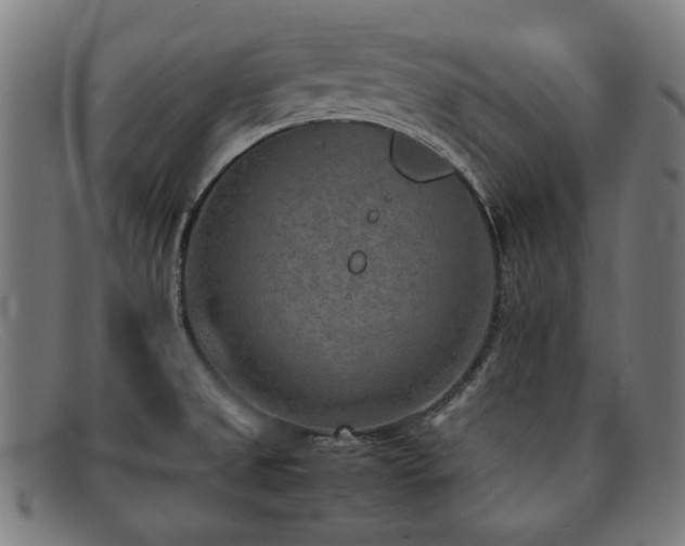 X0000092051525200709121202