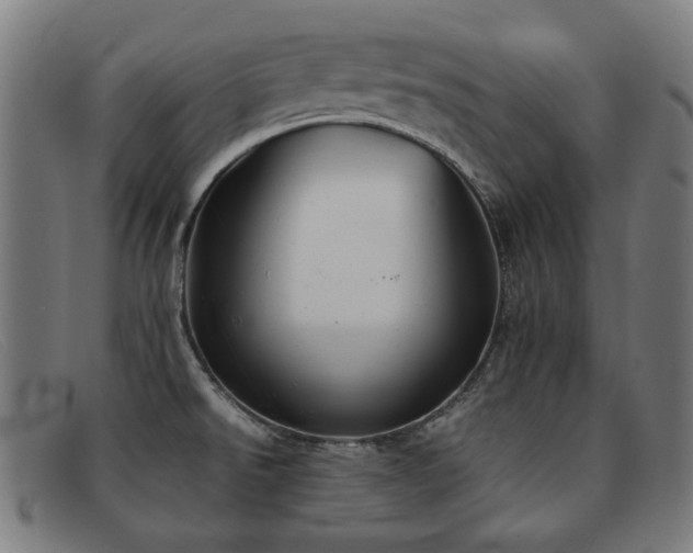 X0000092051526200709121202