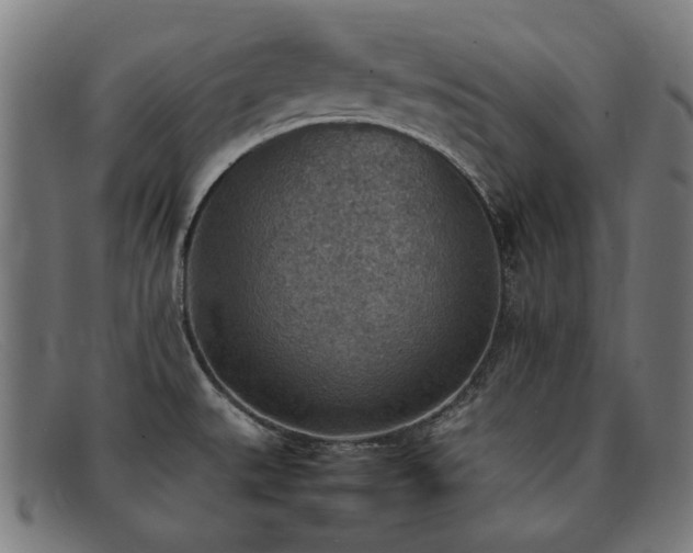 X0000092051527200709121202