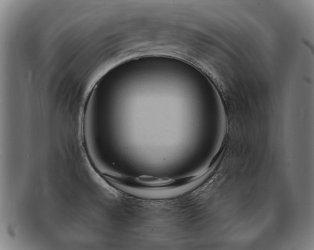 X0000092051528200709121202