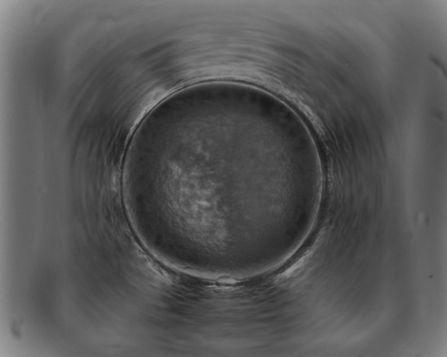 X0000092051529200709121202