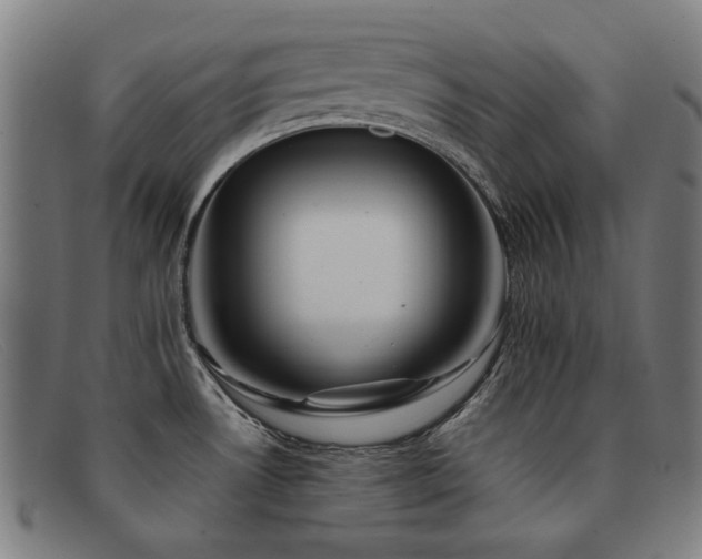 X0000092051530200709121202