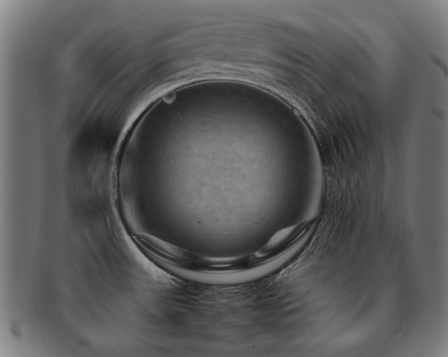 X0000092051531200709121202