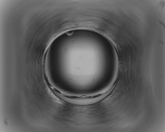 X0000092051532200709121202