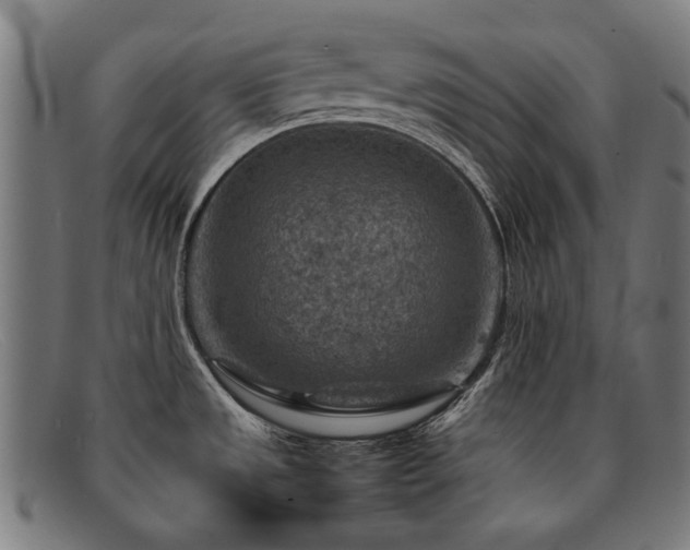 X0000092051533200709121202