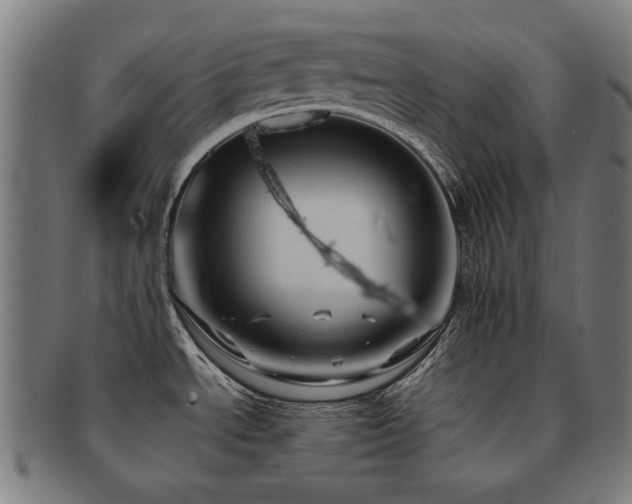 X0000092051534200709121202