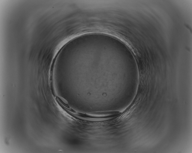 X0000092051535200709121202