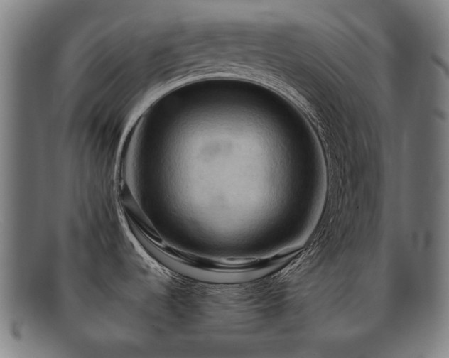 X0000092051536200709121202