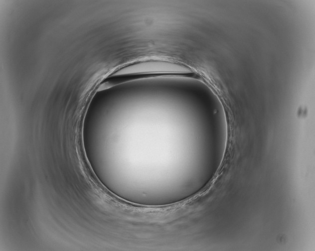 X0000092050001200709191130