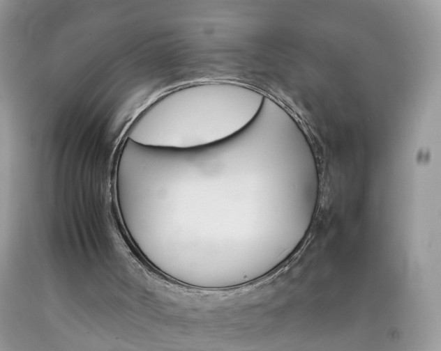 X0000092050002200709191130