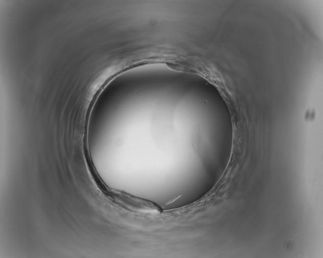 X0000092050003200709191130