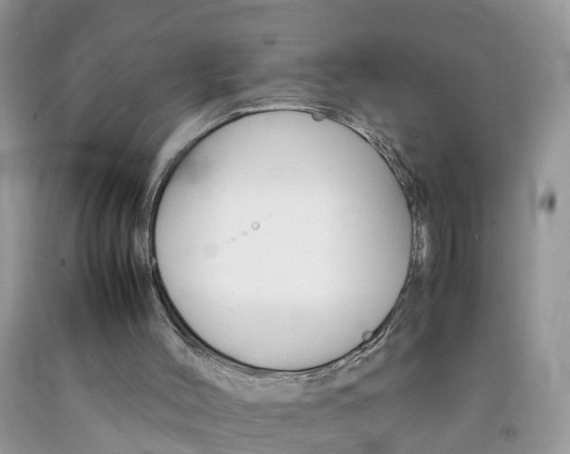 X0000092050004200709191130