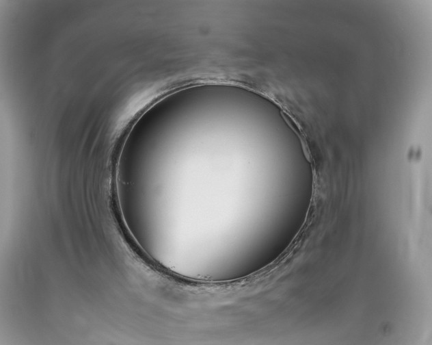 X0000092050005200709191130