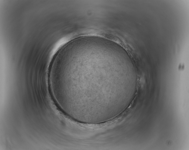 X0000092050006200709191130