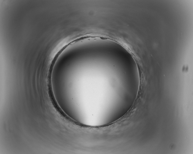 X0000092050007200709191130