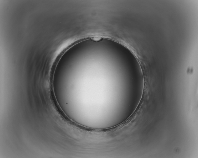 X0000092050008200709191130