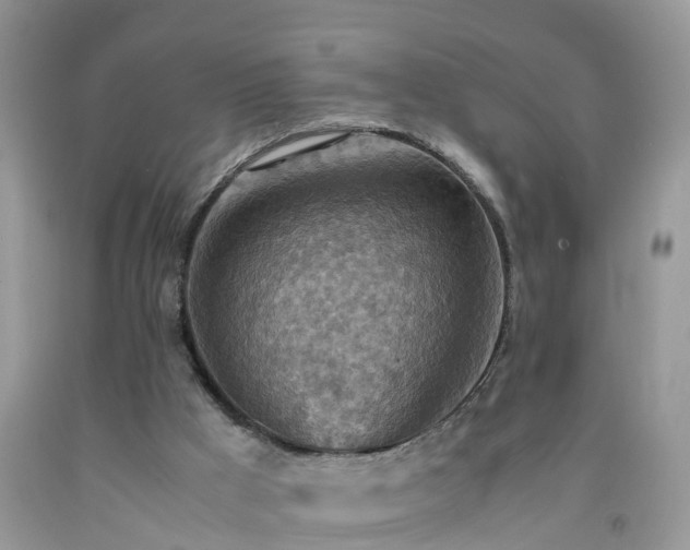 X0000092050009200709191130