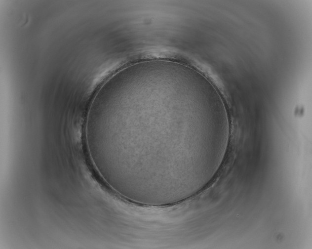 X0000092050010200709191130