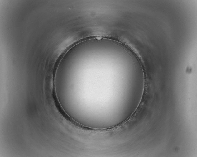 X0000092050011200709191130