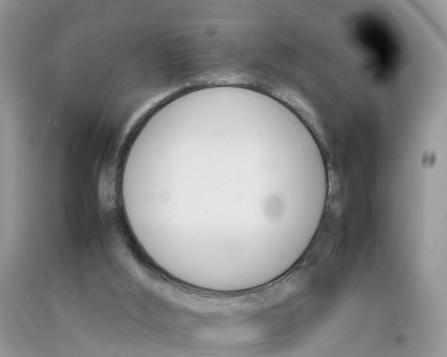 X0000092050012200709191130