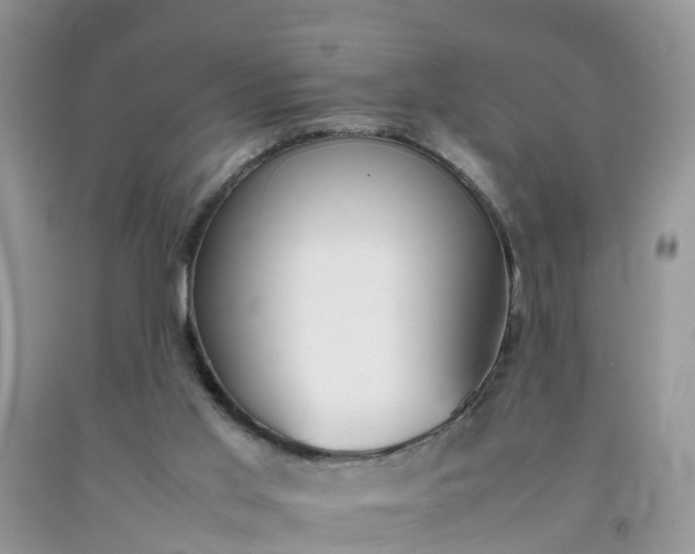 X0000092050013200709191130