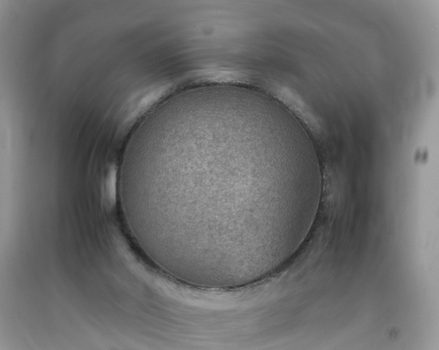 X0000092050014200709191130