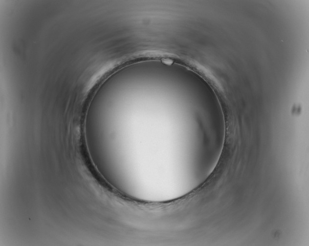 X0000092050015200709191130