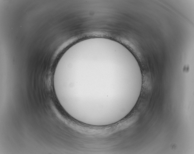 X0000092050016200709191130