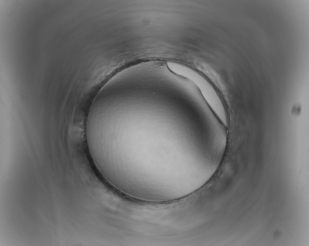 X0000092050017200709191130