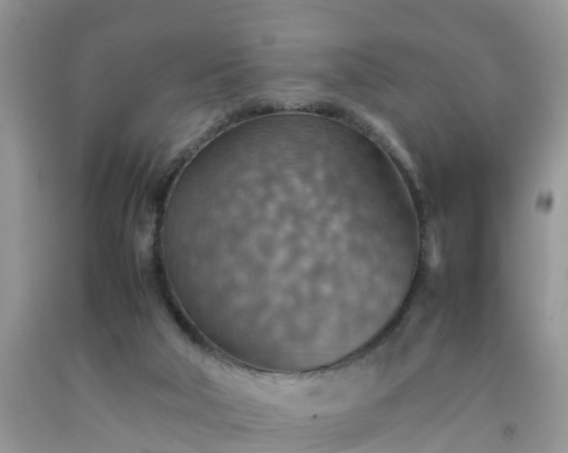 X0000092050018200709191130