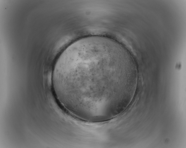 X0000092050019200709191130